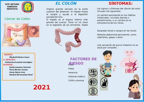 Triptico Del CÁncer Del Colon Esquemas Y Mapas Conceptuales De