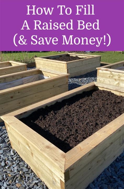 How To Fill A Raised Bed With Healthy Soil And Save Money 2022