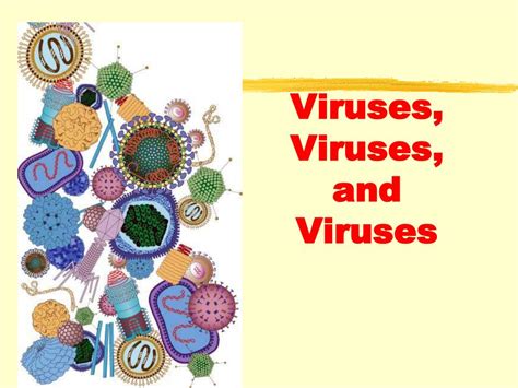 Ppt Bacteria And Viruses Powerpoint Presentation Free Download Id6146605