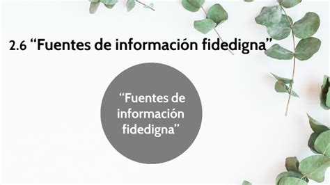 Fuentes de información fidedigna by Natalia Mejorada on Prezi