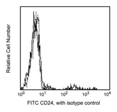 CD24 Mouse Anti Human FITC Clone ML5 BD 100 Tests FITC CD24 Mouse
