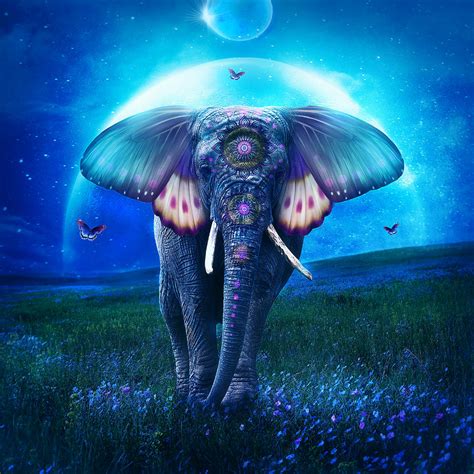 Elephant Digital Art By Jessica Allain