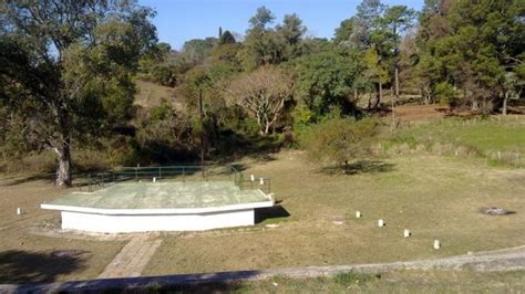 Denuncian Tala De Rboles En La Reserva Natural Del Parque San Carlos