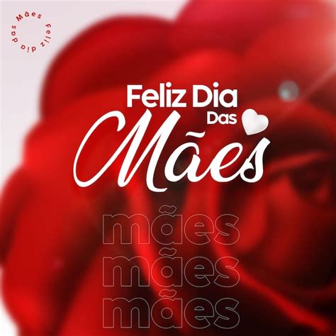 Una Rosa Roja Con Las Palabras Feliz Dias Feliz Dia De La Madre