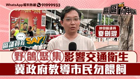 區議員有say 沙田區夏劍琨：野鴿聚集影響交通衛生 冀政府教導市民勿餵飼 星島日報