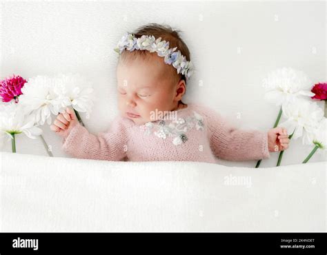 Newborn Baby Girl Stock Photo Alamy