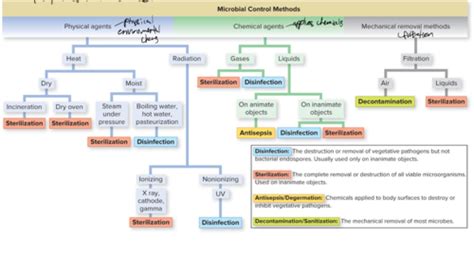 Microbio Control Of Microbial Growth Flashcards Quizlet