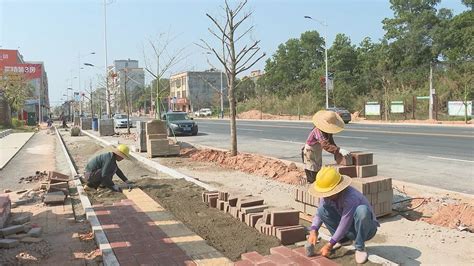 【乡村振兴看阳西】“中国蚝乡”乡村振兴示范带程村段建设完成75 阳西县人民政府网站