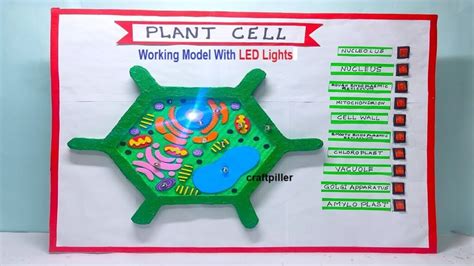 plant cell model working model using LED lights – science project for ...