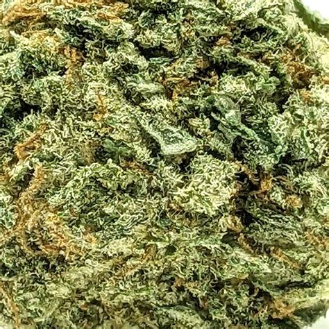 Budget Buds Congo Aaa Buy Weed Online Online Dispensary