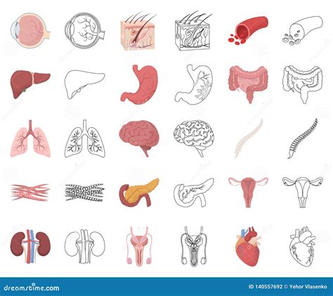 Rg Os Internos De Uns Desenhos Animados Humanos Cones Do Esbo O Em