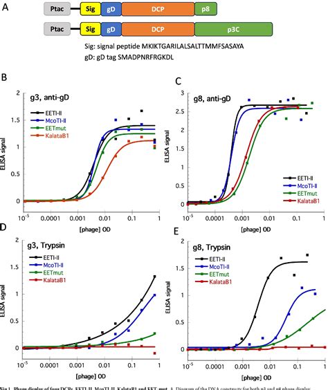 Figure 1 From Disulfide Constrained Peptide Scaffolds Enable A Robust