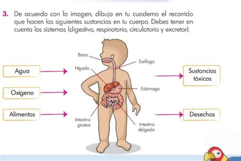 Ay Denme Con Este Punto Por Favor Doy Corona Ay Denme Con El Dibujo Por