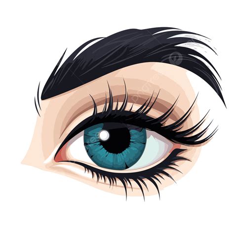 Cartoon Eyelashes, Sticker Clipart Person Eye With Lashes And Long ...