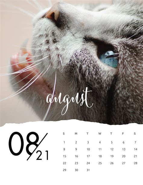 Free Printable August 2021 Calendars World Of Printables