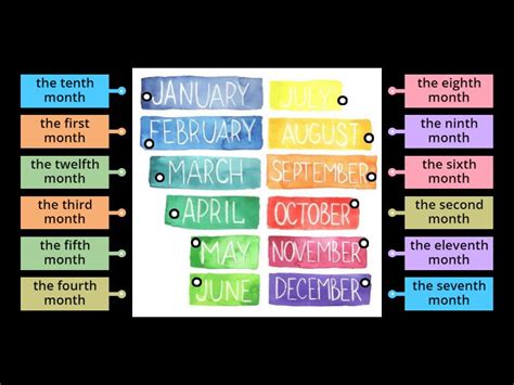 ORDINAL NUMBERS AND MONTHS - Labelled diagram