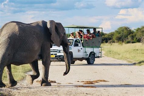 Etosha National Park Safari with Local Professional Guides 2024