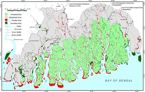 Great Guide For The Foreigner To Visit Sundarban | Royal Sundarban ...