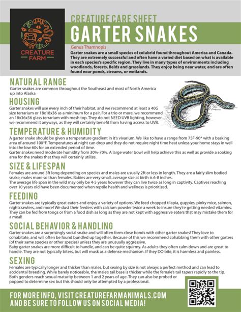 Garter Snake Care – Creature Farm