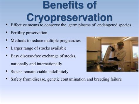 Cryopreservation