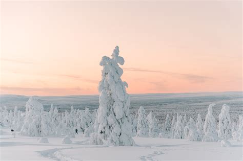 Quand Partir En Laponie Meilleure P Riode Et Climat Travelbase