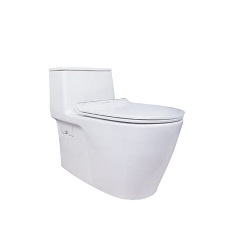 PRE ORDER American Standard Acacia SupaSleek One Piece Toilet CL20075