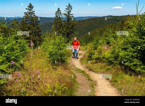 Hiking In Sauerland On The Rothaarsteig A Long Distance Hiking Trail