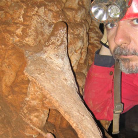 Hubert Camus Cenote Scientific Manager Research Profile