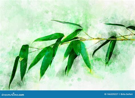 Bamboo Watercolor Stem Watercolour Hand Drawn Green Botanical Texture