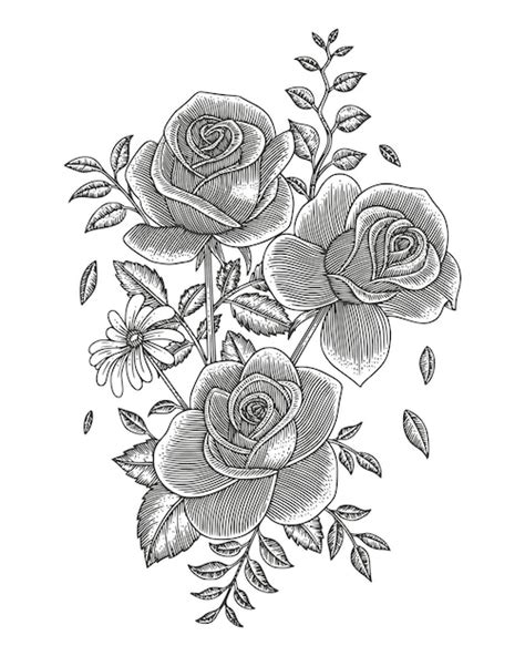 Rosas Mano Dibujo Vintage Grabado Estilo Vector Premium