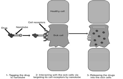 Schematic Illustration Of Application Of Nanotechnology In Smart Drug