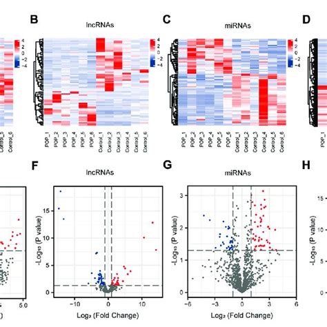 CircRNA LncRNA MiRNA And MRNA Expression Profiles A D Heatmaps Of