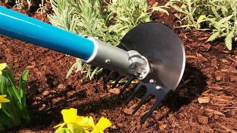 Edgy Gardens Made Easy With This Tool Bees And Roses Lawn And