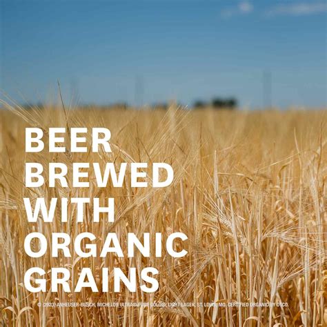 Michelob Ultra Pure Gold Organic Light American Lager Beer Bottle