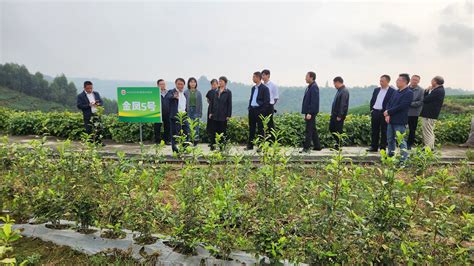 四川省农业科学院院茶叶所领导陪同农业农村部翟新验总兽医师调研我所名山牛碾坪基地