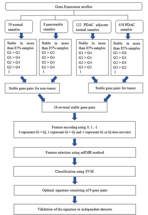 Figure 1 From Early Diagnosis Of Pancreatic Ductal Adenocarcinoma By