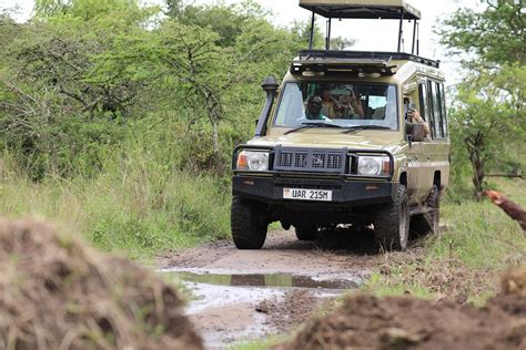 Great Adventure Safaris Uganda Gorilla Trekking Tours Wildlife