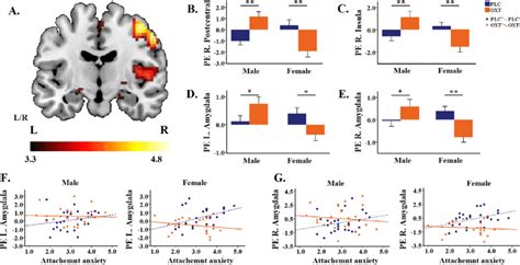 Interaction Effect Of Treatment With Sex In Brain Activation In Friend Download Scientific