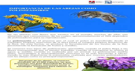 Importancia De Las Abejas Como Polinizadores · Importancia De Las