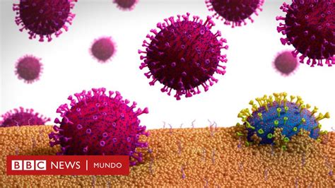 Evoluci N Del Coronavirus Qu Es La Mutag Nesis Letal Y En Qu Medida