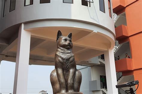 Makna Patung Kucing Di Depan Kampung Susun Cakung Namanya Libi Simbol