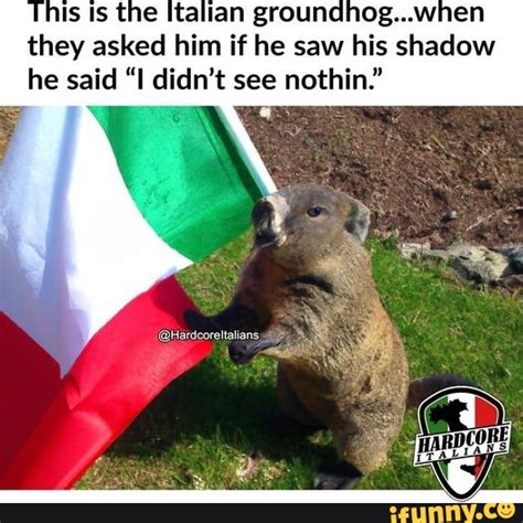 This is the Italian groundhog...when they asked him if he saw his ...