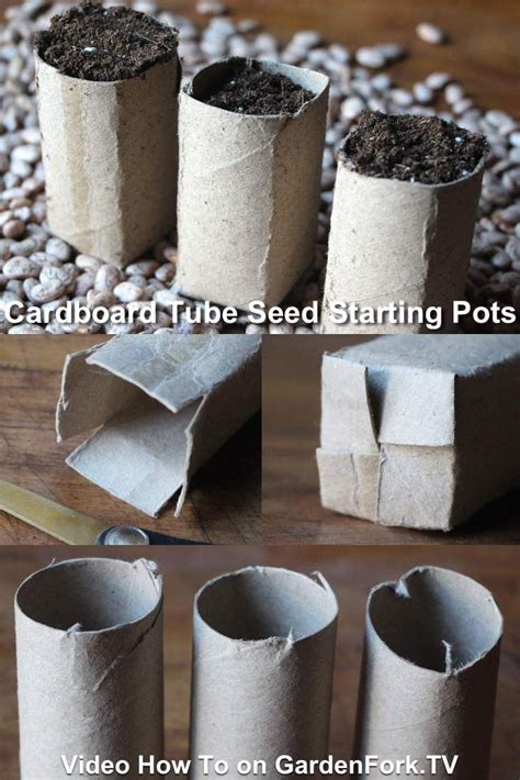 Start Seeds With Those Cardboard Tubes From Paper Towels And Toliet