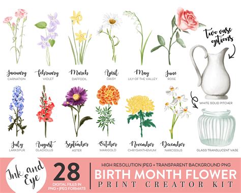 Flowers For Each Month Birth Month Flowers Flower Svg Flower Clipart