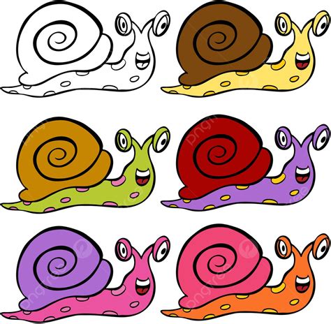 Cute Cartoon Snail Shells Variation Shell Vector Cute Clipart Snail