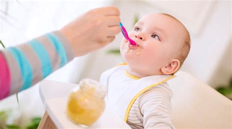 ¿qué Dar De Comer A Un Bebé De 6 Meses Enfamil España