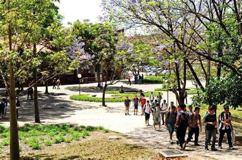 MEC Divulga Resultado Da Chamada Regular Do Sisu 2024 Faculdade De