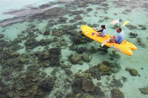 Lankayan Island Malaysia Travel Sabah Borneo