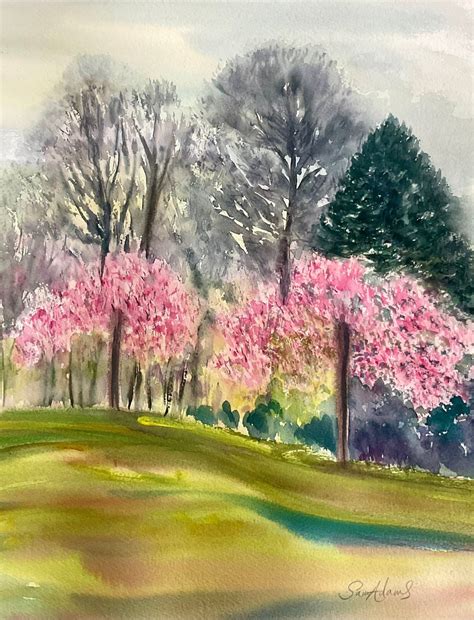 Japanese Cherry Blossoms Kingston Lacy Gardens Dorset Watercolour By