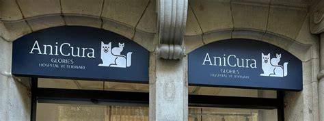 Anicura Gl Ries Hospital Veterinari Estrena Ubicaci N Y Refuerza Su